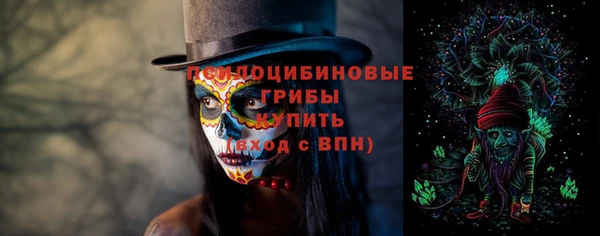 ешки Верхний Тагил